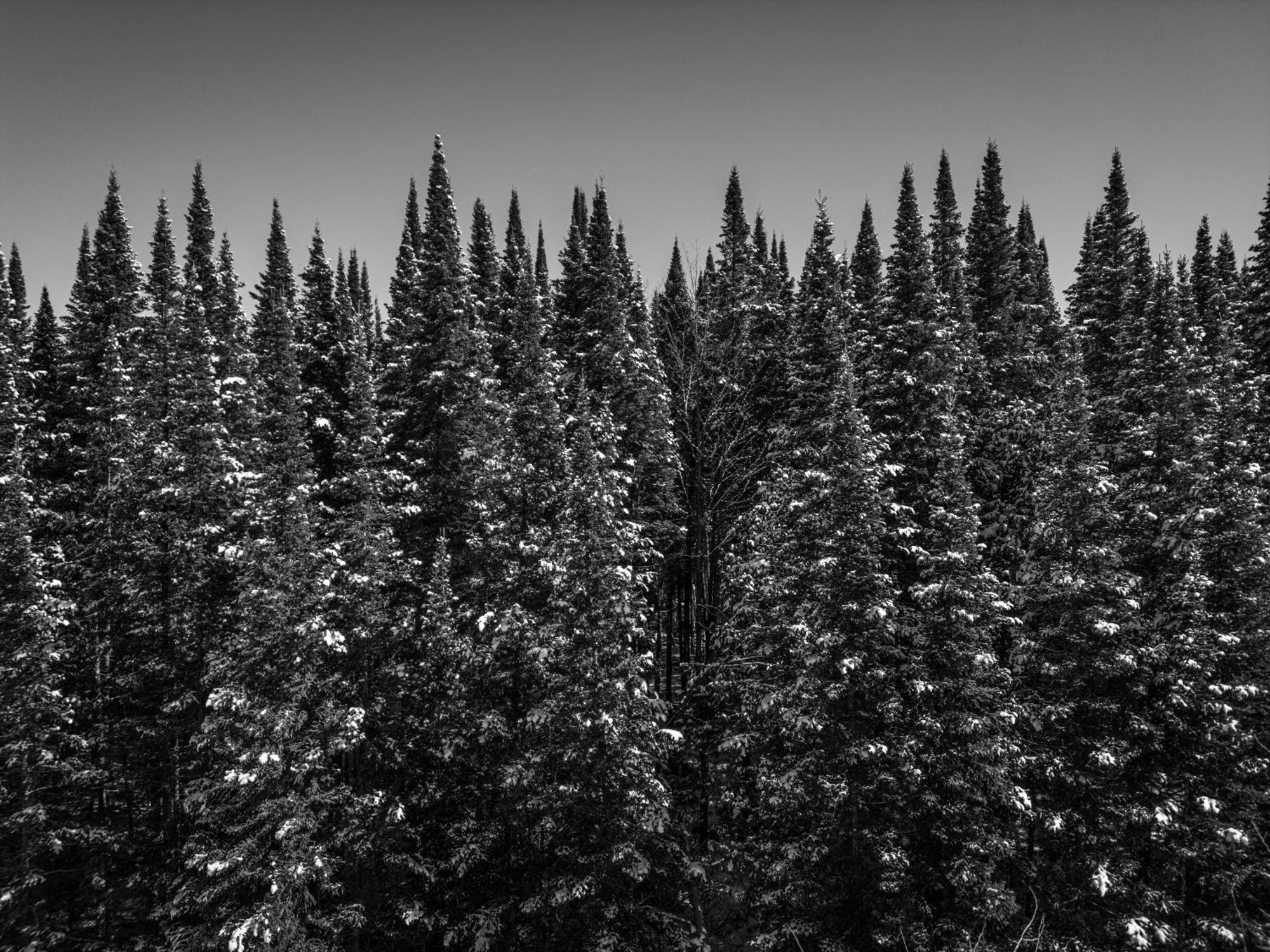 Otsego Resort Gaylord Exteriér fotografie